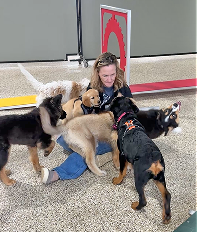 puppy social play image
