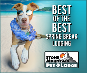Spring Break Lodging
