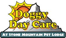 Doggy Day Care