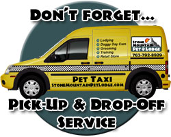 Pet Taxi