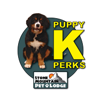 Puppy K Promotion